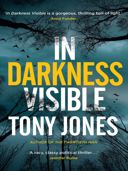 Title details for In Darkness Visible by Tony Jones - Available